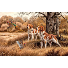 Карпет "NATURE 426-11"; 200x300 см; прямой; коричневый