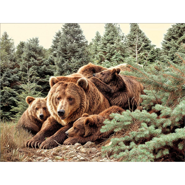 Карпет "NATURE 234-81"; 200x400 см; прямой; коричневый;зеленый