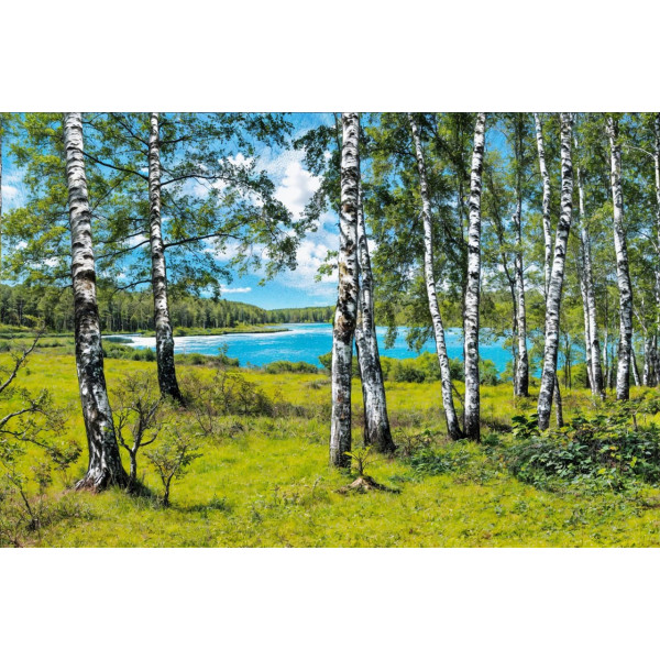 Карпет "NATURE 431-41"; 200x300 см; прямой; зеленый;синий