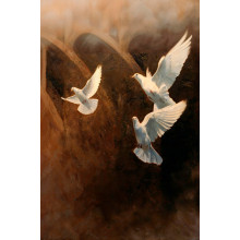 Карпет "NATURE 849-81"; 100x150 см; прямой; темно-бежевый