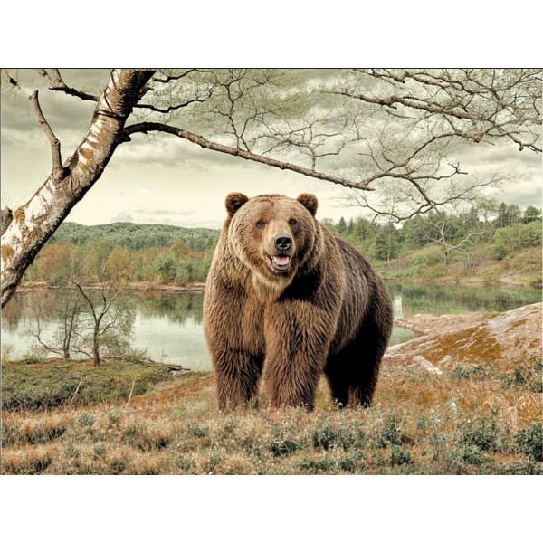 Карпет "NATURE 233-81"; 100x150 см; прямой; коричневый;зеленый
