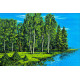 Карпет "NATURE 435-41"; 100x150 см; прямой; зеленый;синий