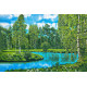 Карпет "NATURE 435-41"; 100x150 см; прямой; зеленый;синий