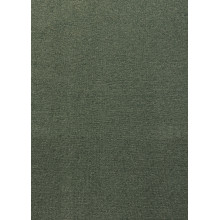 Палас "AVENTIS "05A"; 150x200 см; зеленый; прямой