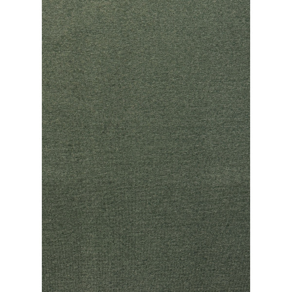 Палас "AVENTIS "05A"; 150x200 см; зеленый; прямой