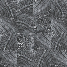 Палас "2896a4/111"; 250x300 см; ; прямой