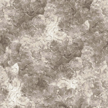 Палас "2693a6/123"; 250x300 см; ; прямой