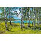 Карпет "NATURE 231-41"; 200x400 см; прямой; зеленый;синий