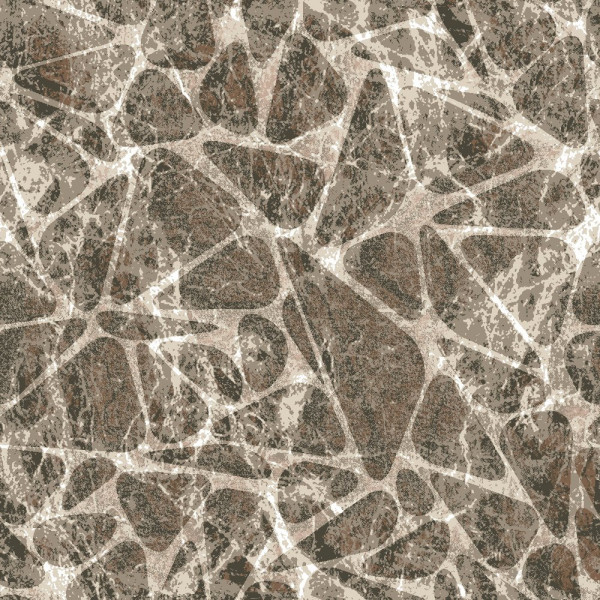 Палас "2743a6/113"; 200x300 см; ; прямой