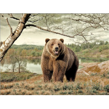 Карпет "NATURE 233-81"; 200x300 см; прямой; коричневый;зеленый