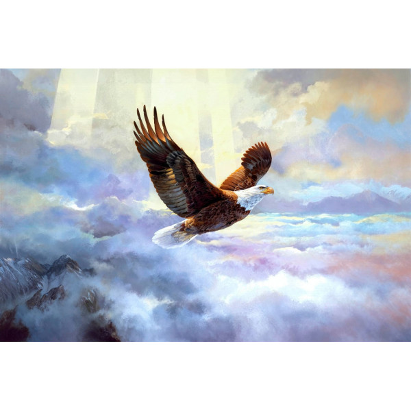 Карпет "NATURE 848-41"; 200x300 см; прямой; голубой