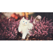 Карпет "Белый котик"; 80x150 см; белый;розовый; прямой