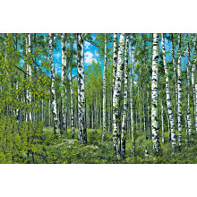 Карпет "NATURE 437-41"; 200x300 см; прямой; зеленый;синий
