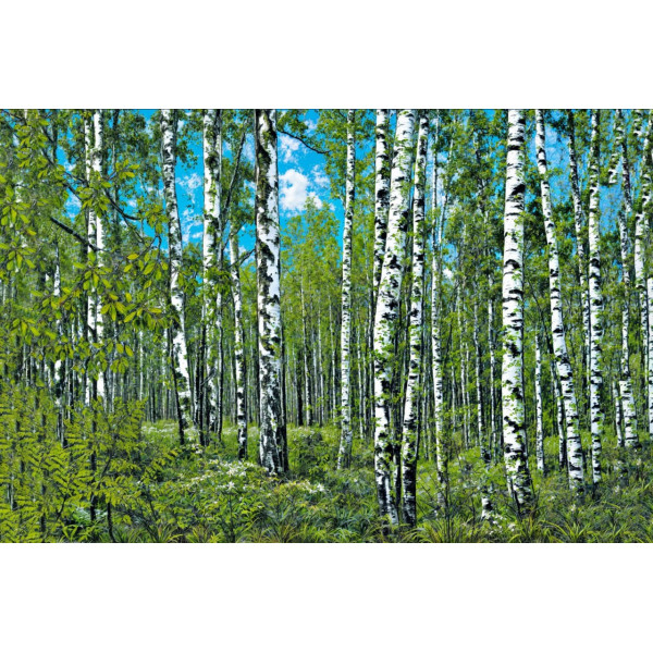 Карпет "NATURE 437-41"; 200x300 см; прямой; зеленый;синий