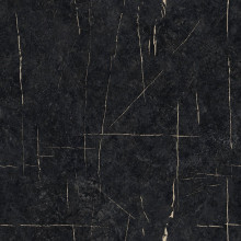 Палас "GISSAR "220_77"; 250x250 см; черный; прямой