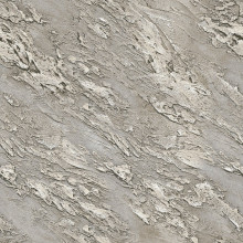Палас "2659a5/124"; 300x500 см; ; прямой