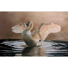 Карпет "NATURE 850-81"; 200x300 см; прямой; темно-бежевый
