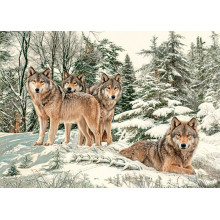 Карпет "NATURE 425-21"; 200x300 см; прямой; серый;белый