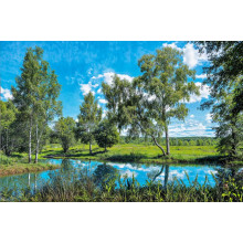 Карпет "NATURE 440-41"; 200x300 см; прямой; зеленый;синий