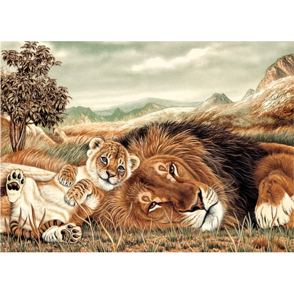 Карпет "NATURE 420-81"; 200x400 см; прямой; коричневый