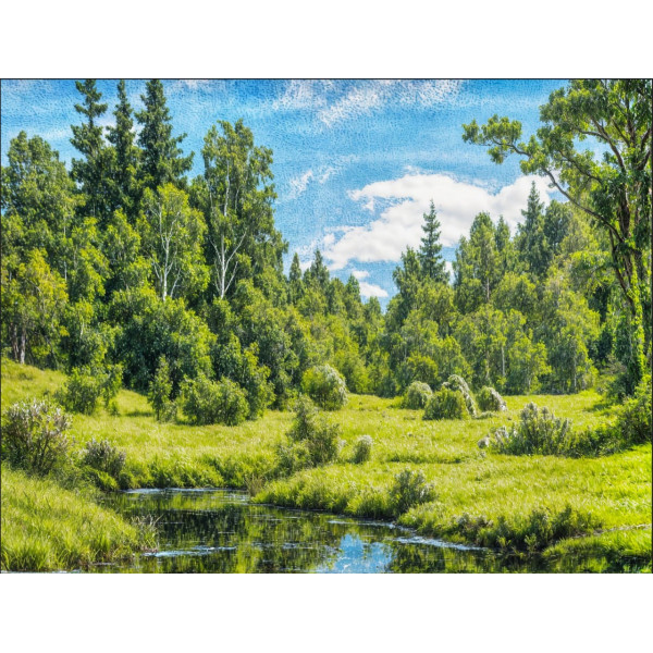 Карпет "NATURE 427-41"; 200x300 см; прямой; зеленый;синий