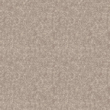 Палас "1639a5/100"; 250x300 см; ; прямой