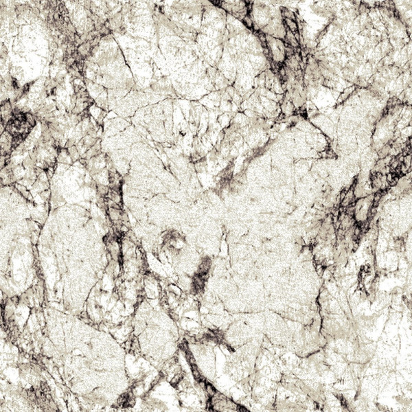 Палас "1827a2/100"; 250x500 см; ; прямой