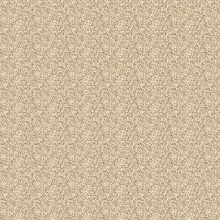 Палас "1399a2/103"; 300x450 см; ; прямой