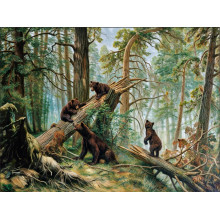 Карпет "NATURE 424-81"; 200x400 см; прямой; зеленый;коричневый
