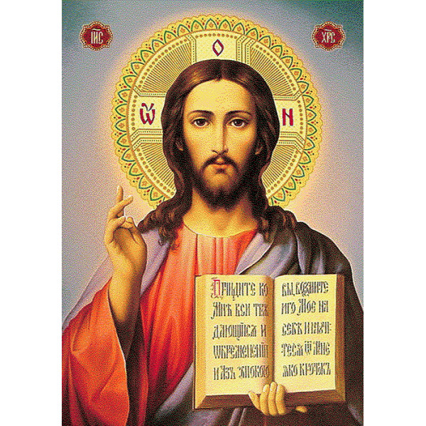 Карпет "1856a5/51"; 50x70 см; прямой;